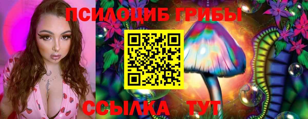 Галлюциногенные грибы MAGIC MUSHROOMS Тихвин