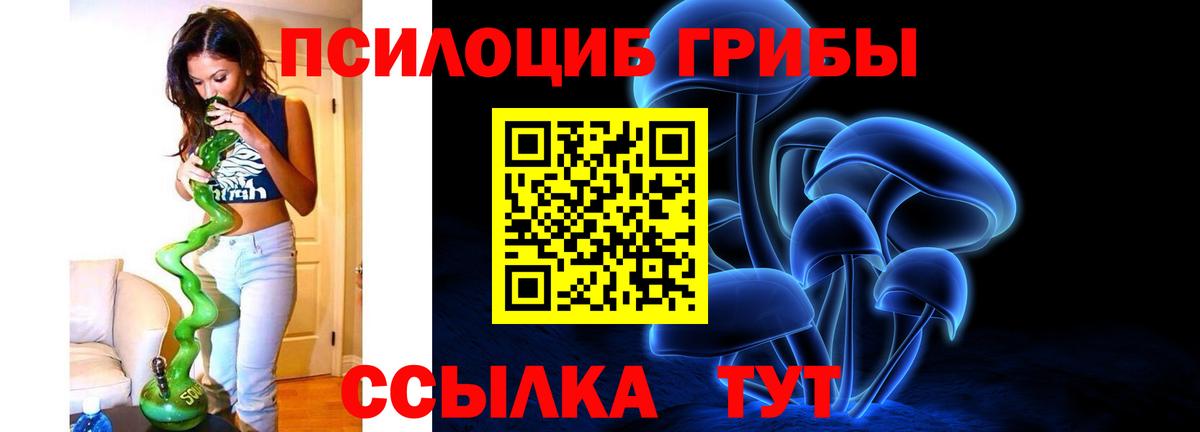 Псилоцибиновые грибы прущие грибы  Галлюциногенные грибы прущие грибы  Тихвин  Вход с VPN 